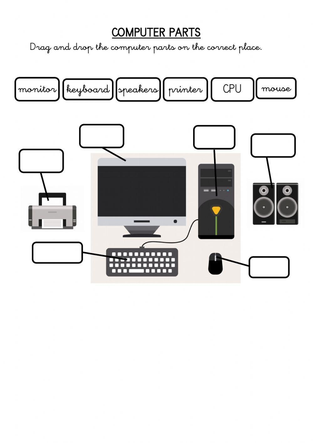 Parts Of The Computer Worksheets Printables