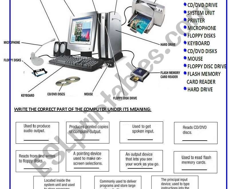 PARTS OF THE COMPUTER ESL Worksheet By Silvina Joaquina