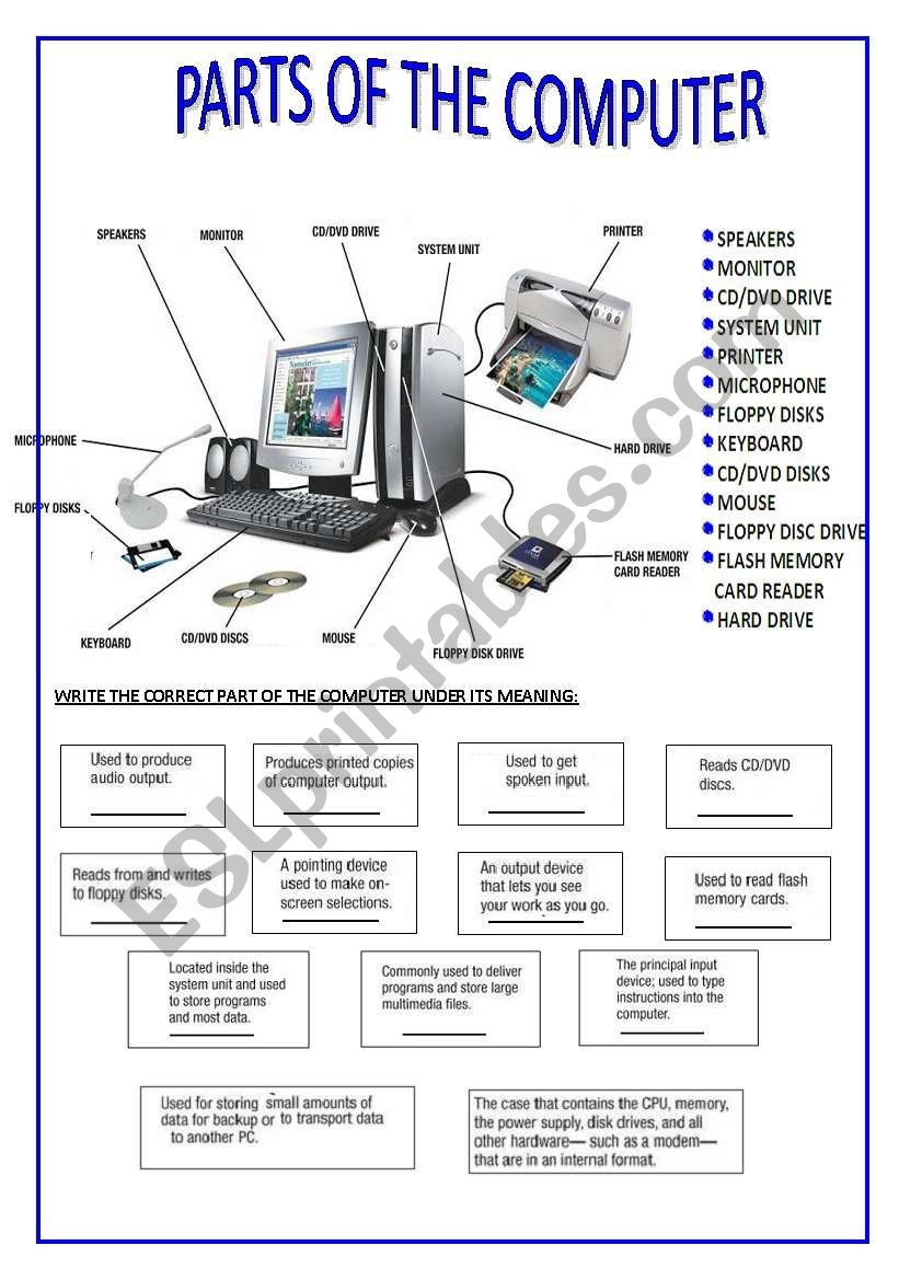 PARTS OF THE COMPUTER ESL Worksheet By Silvina Joaquina