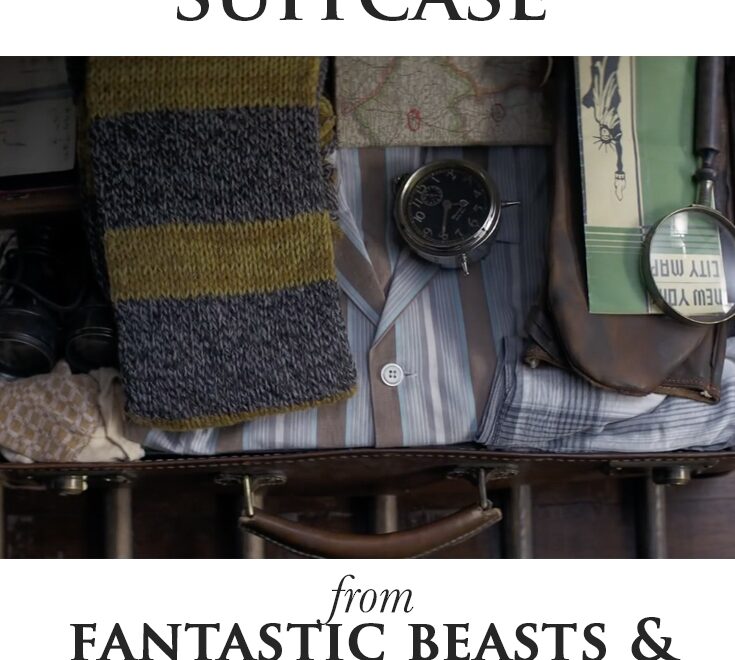 Welcome To 1920s New York Theme Fantastic Beasts And Where To Find Them Party InLiterature
