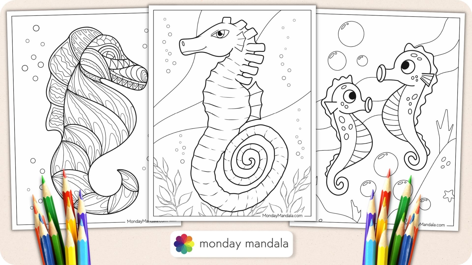 20 Seahorse Coloring Pages Free PDF Printables 