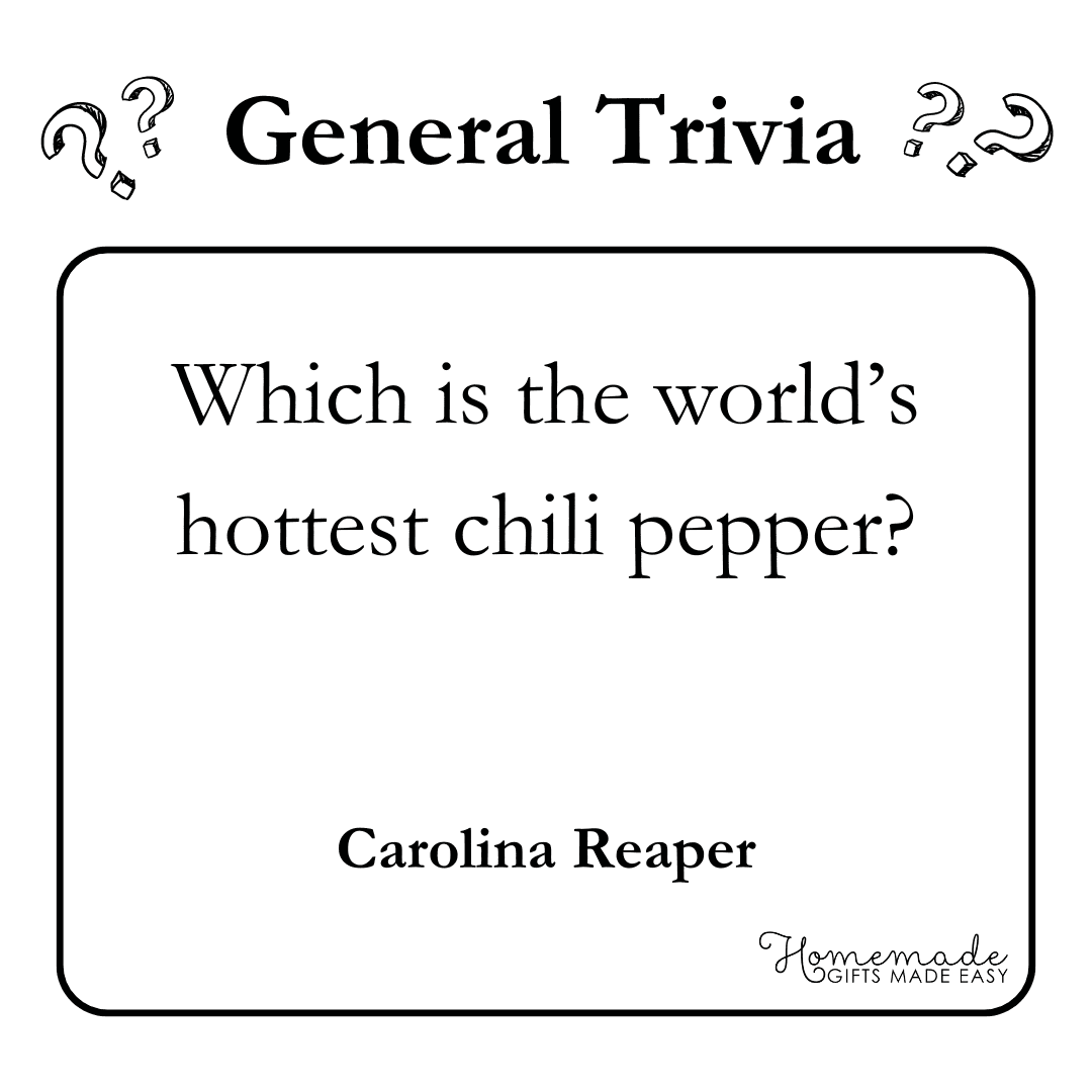 200 Best Trivia Questions Plus Free Printable Trivia Game PDF 
