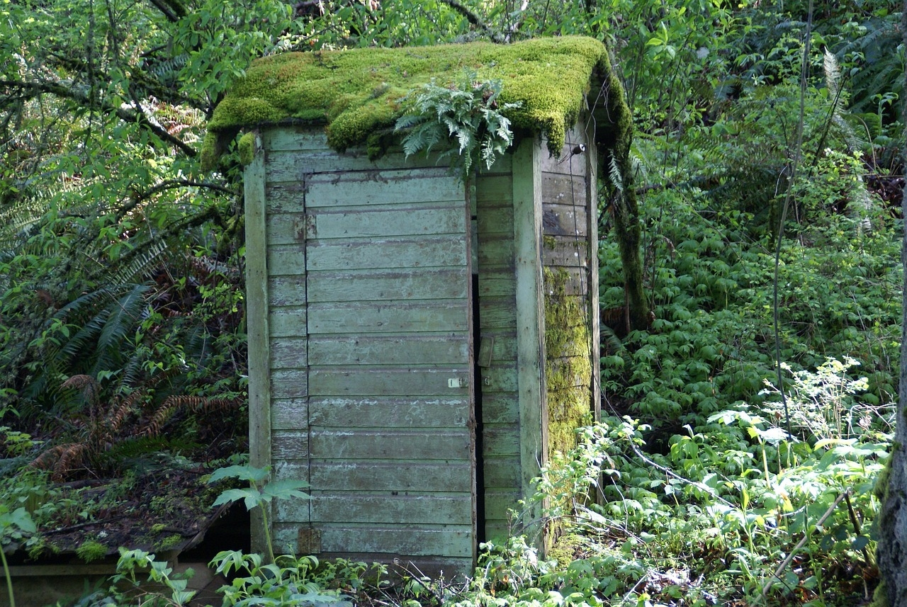40 Free Outhouse Toilet Images Pixabay