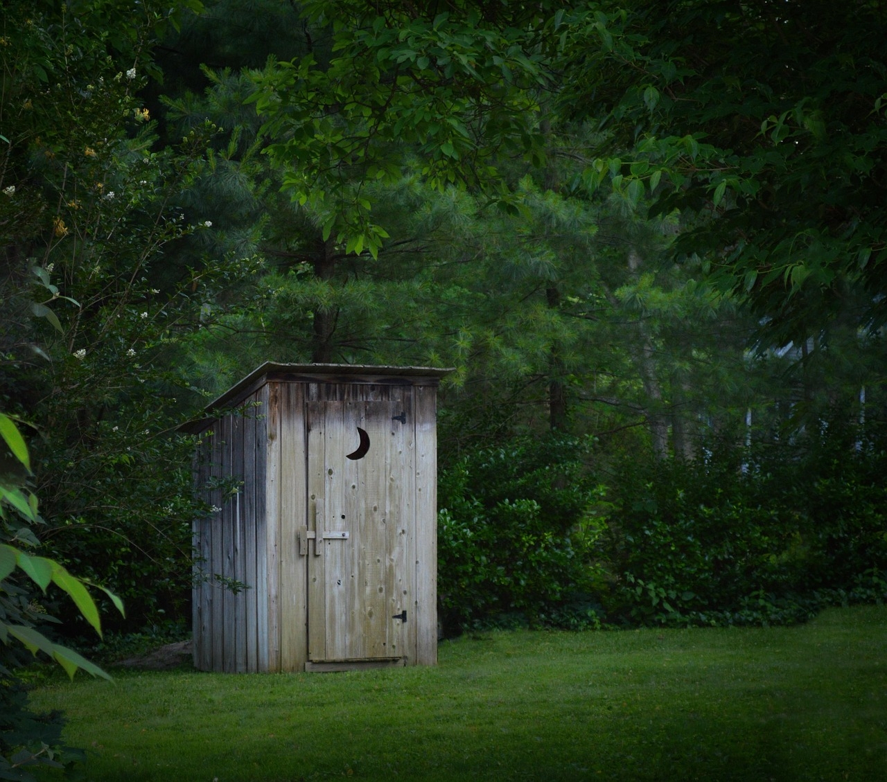 40 Free Outhouse Toilet Images Pixabay