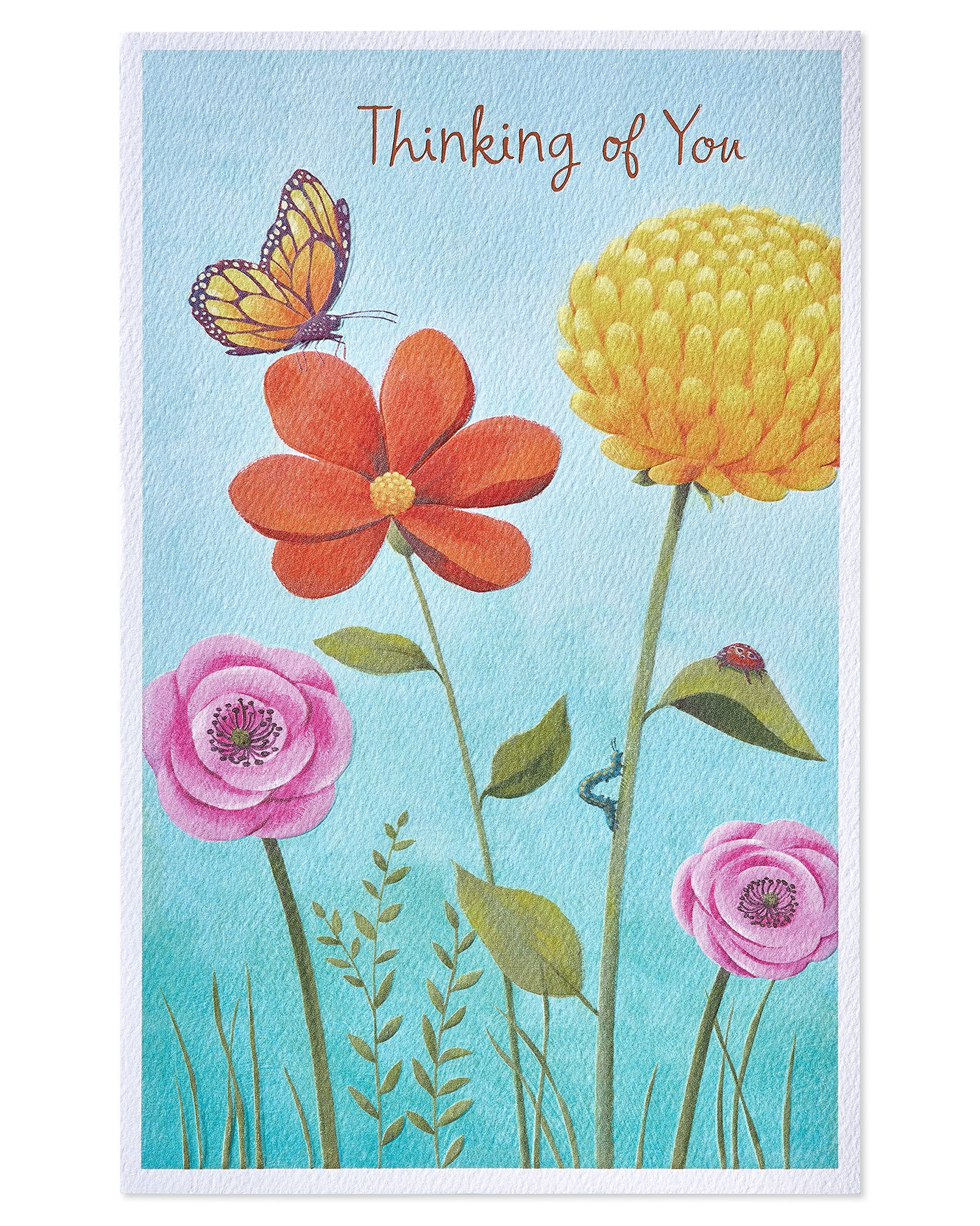 Amazon American Greetings Thinking Of You Card Brighten Up Your Day 