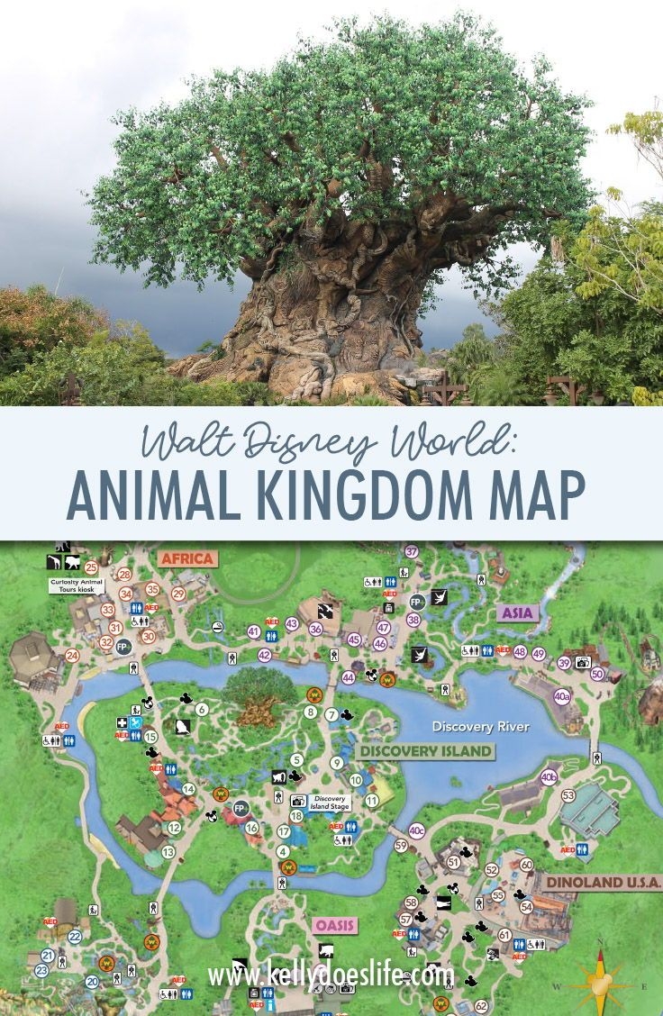 Animal Kingdom Map Walt Disney World Updated May 2024