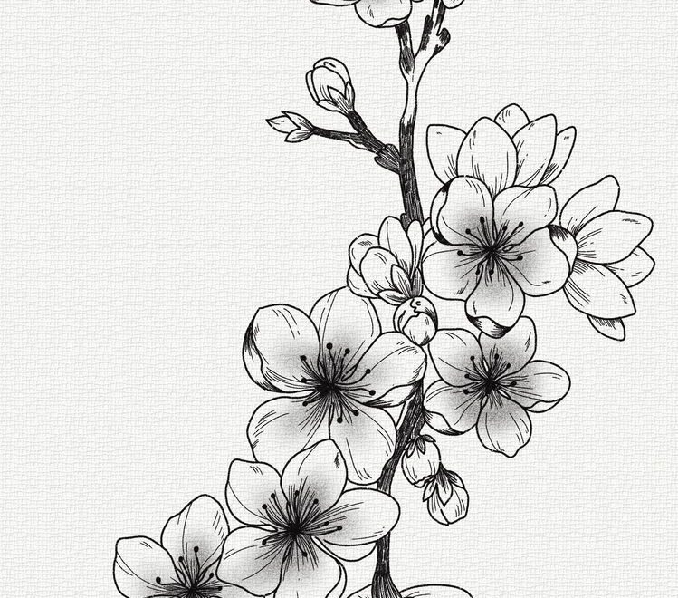 Black And White Blossom Tree Tattoo