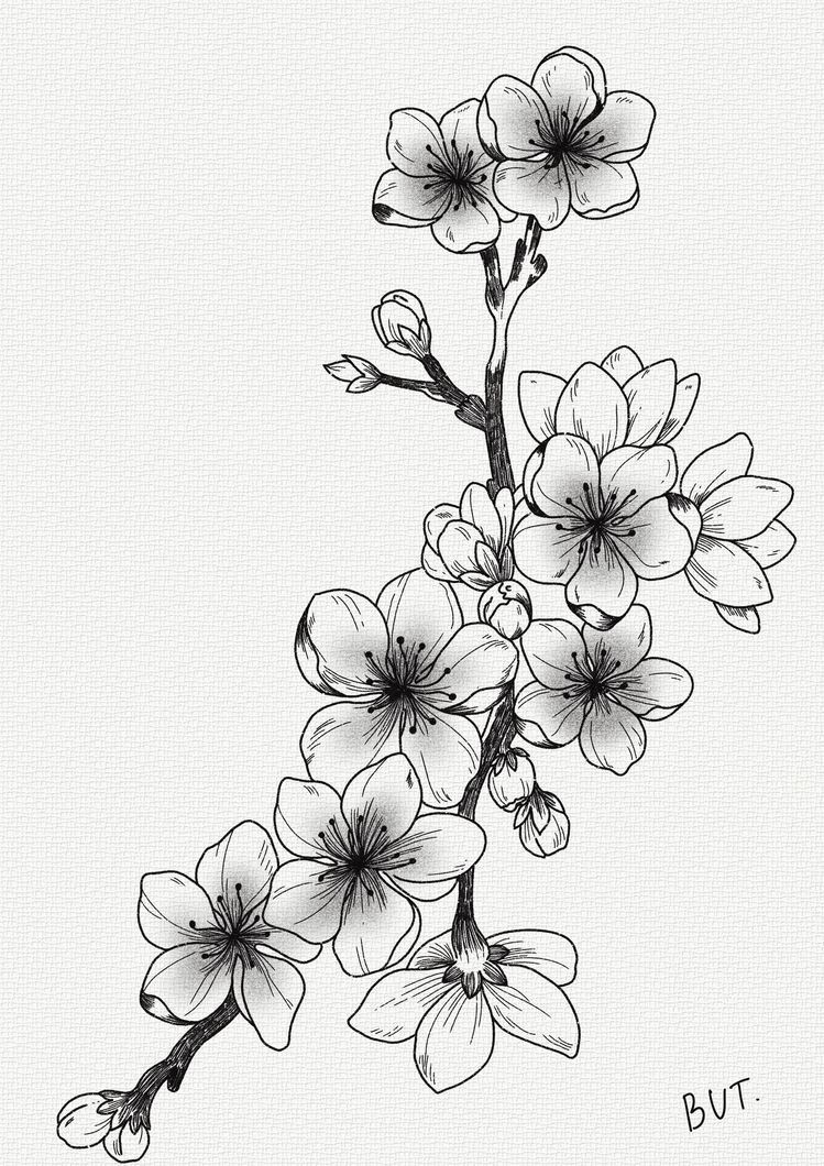 Black And White Blossom Tree Tattoo