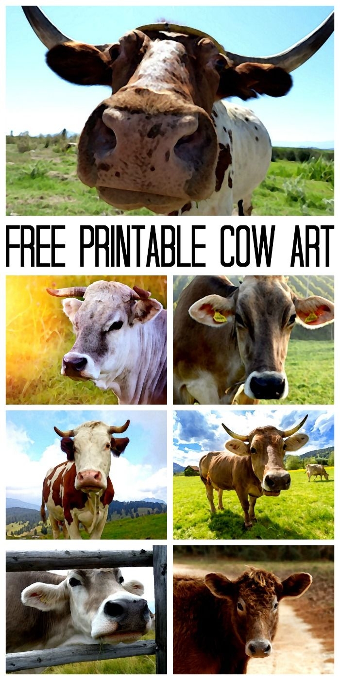 Cow Canvas Print Art For Free 