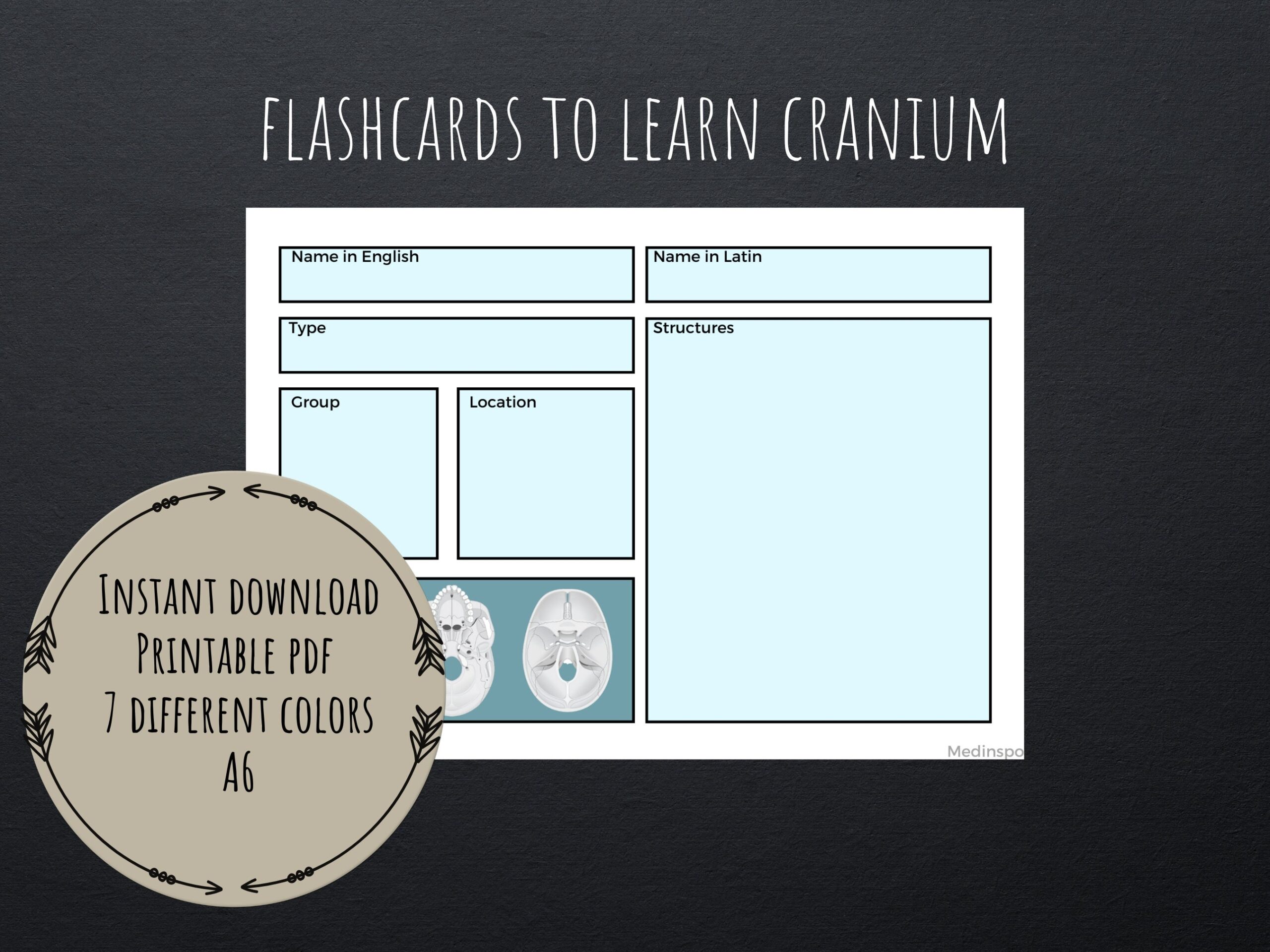 Cranium Skull Flashcards PDF Printable Digital Template Study Anatomy Notes Active Recall For Dentistry Odontology Med Students Etsy
