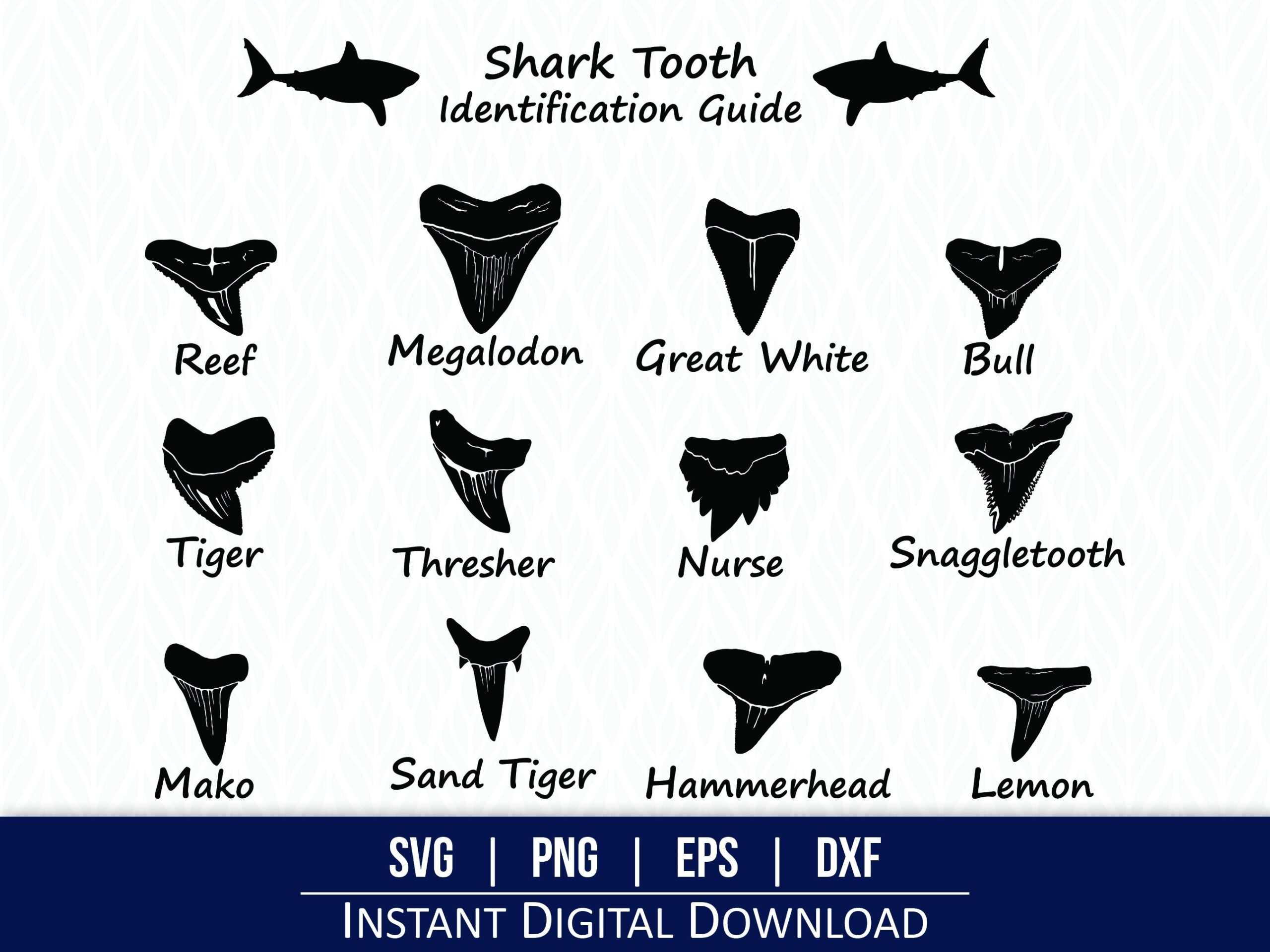 Diente De Tibur n SVG Gu a De Dientes De Tibur n Identificaci n De Dientes De Tibur n P ster De Diente De Tibur n Descarga Digital Cricut Silhouette Cortadores L ser Etsy Espa a