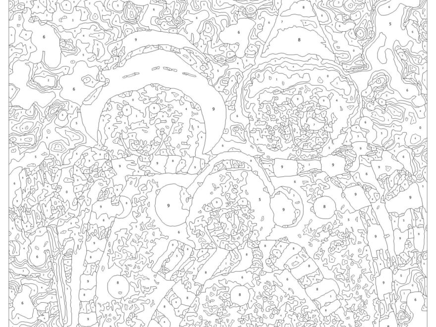 Difficult Color By Number 10 Free PDF Printables Printablee