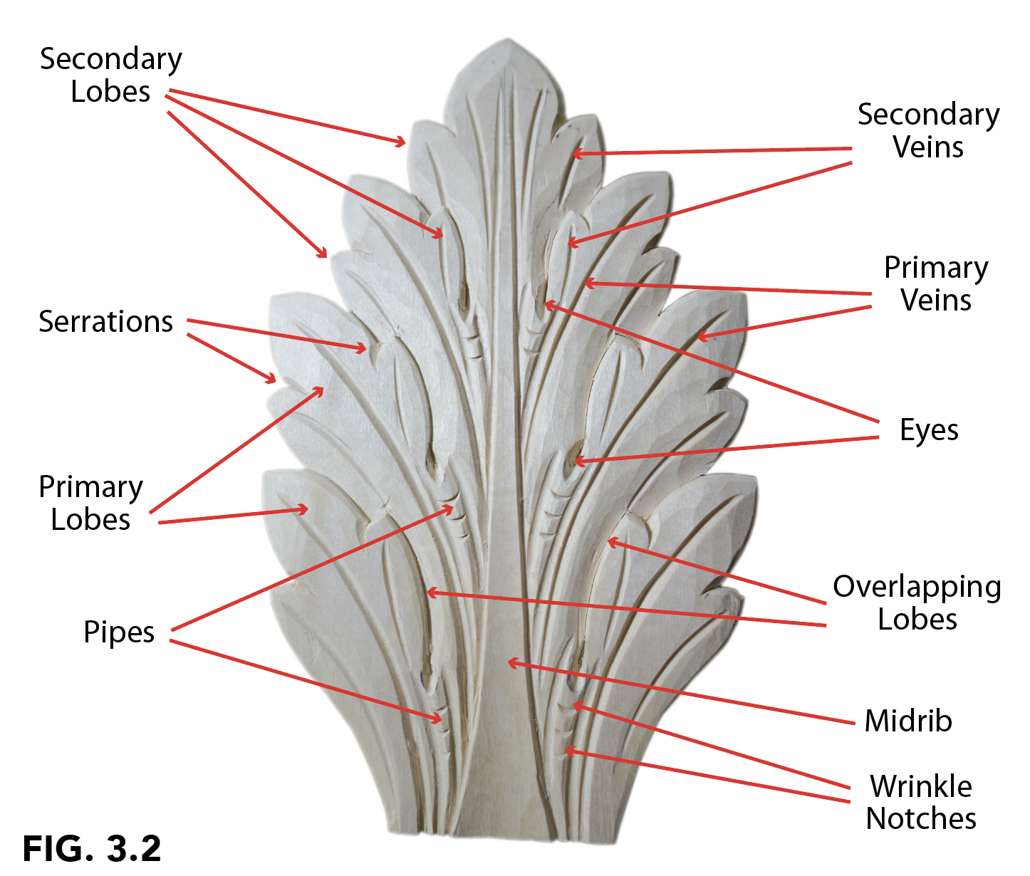 Drawing A Symmetrical Acanthus Leaf Lost Art Press