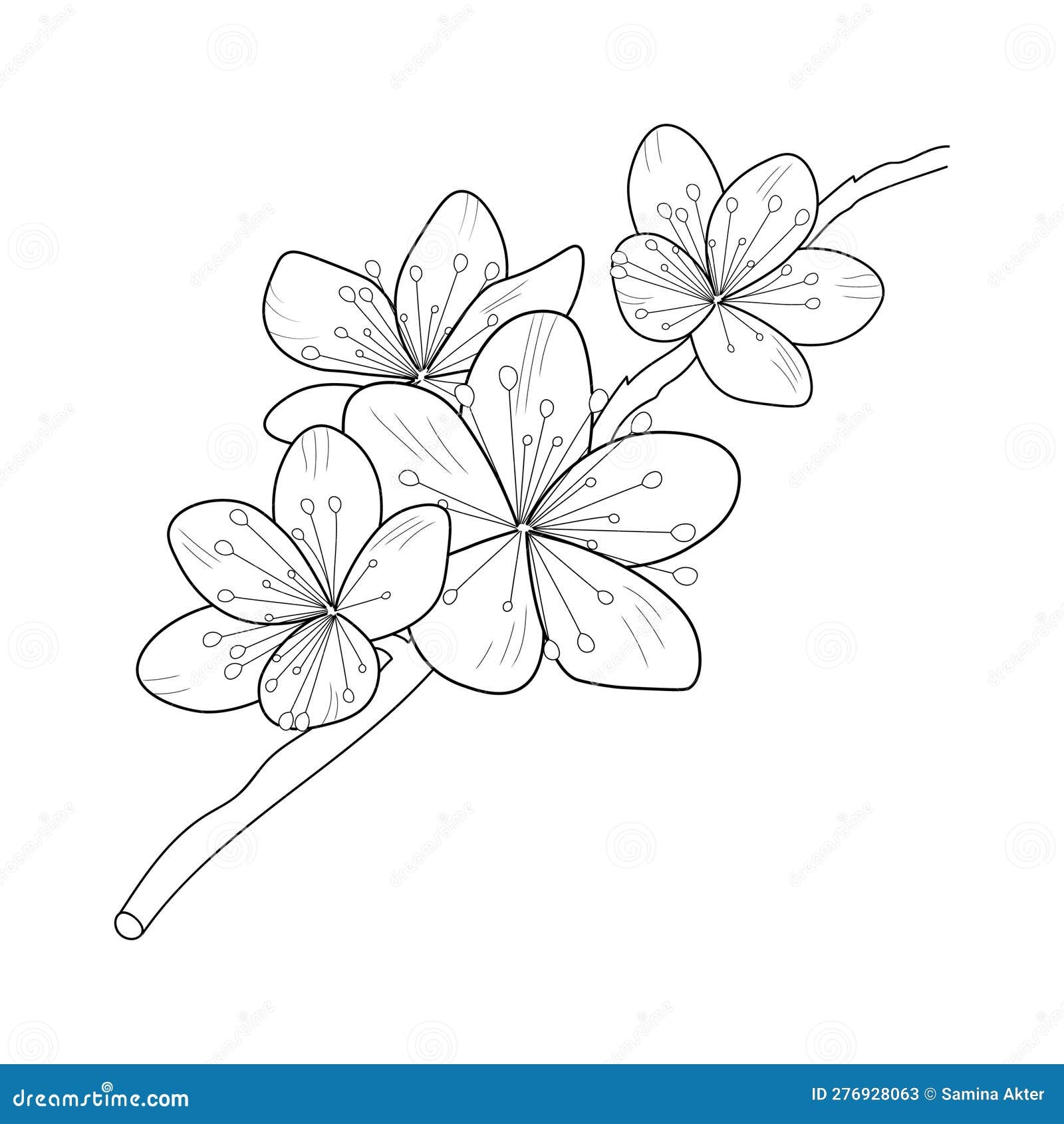 Chinese Flower Printable Free Tattoo Easy Drawings