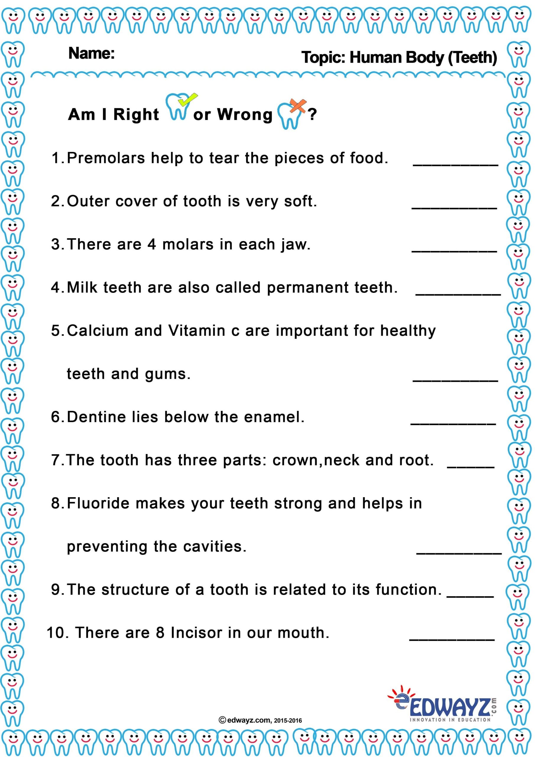 4Th Grade Science Printable Worksheets