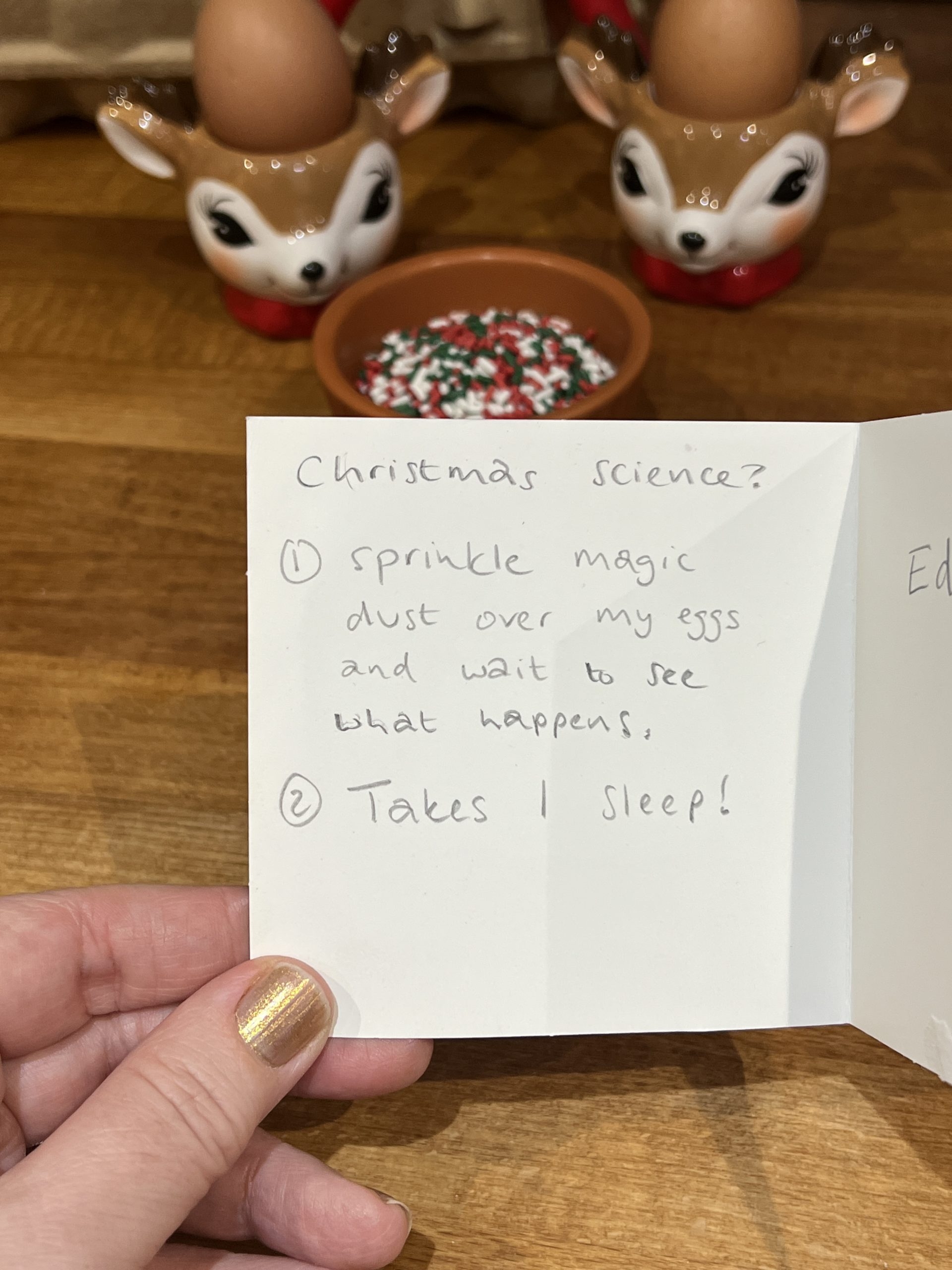 Elf On The Shelf Magic Egg Trick The gingerbread house co uk