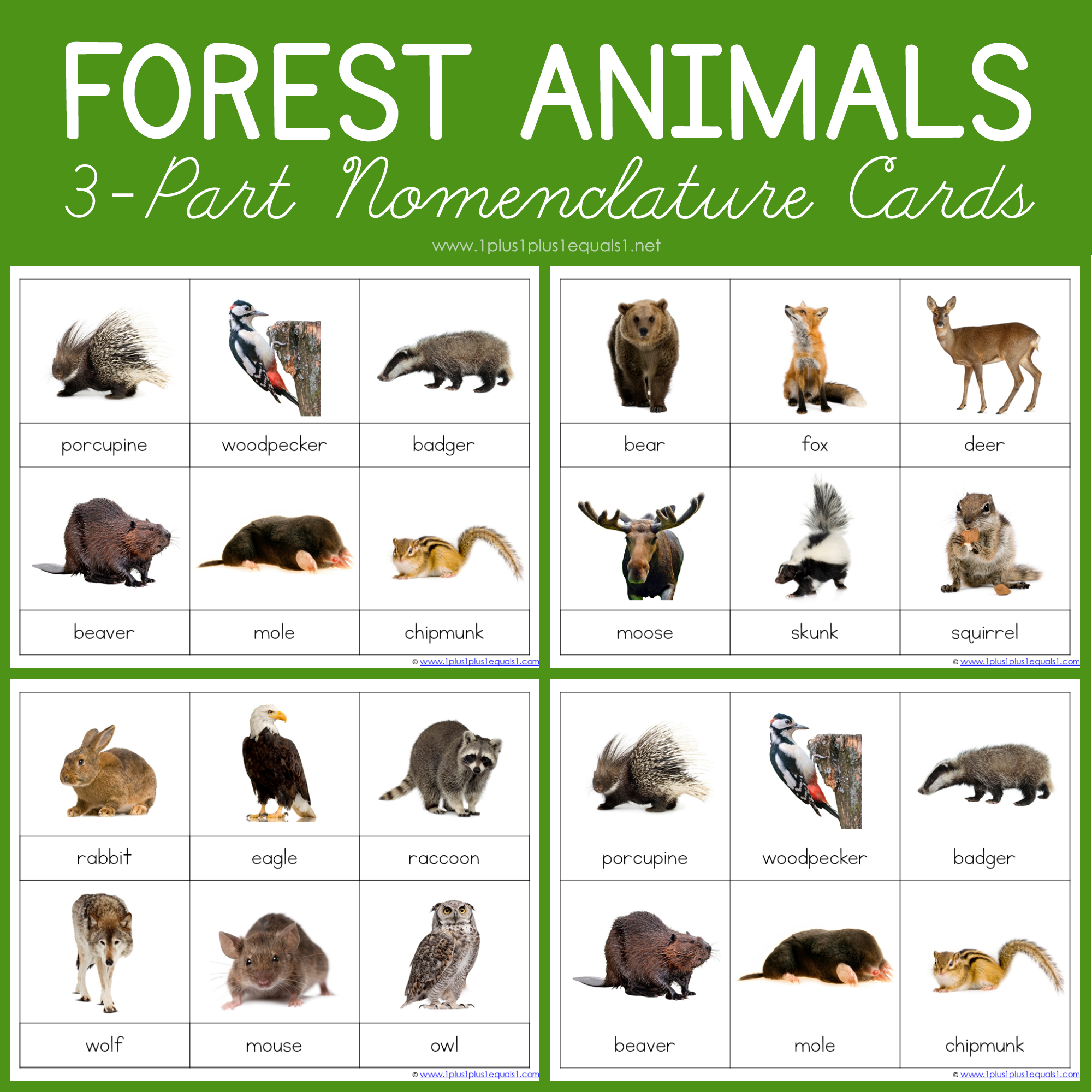 Forest Archives 1 1 1 1