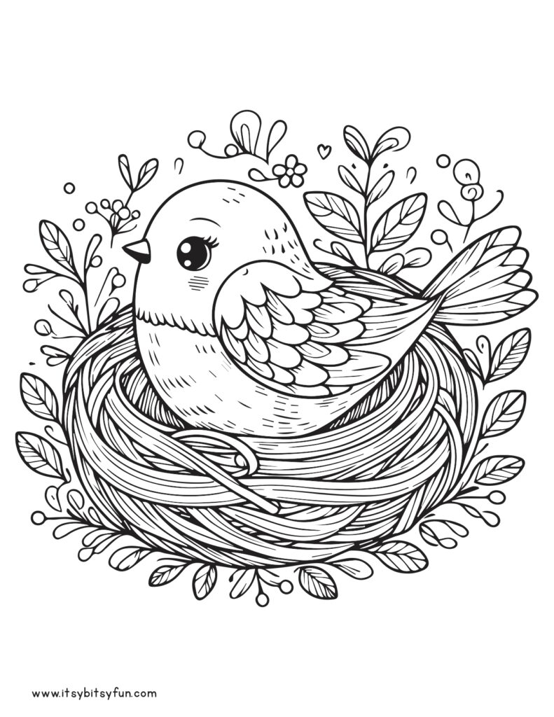 Free Printable Bird Coloring Pages For Kids Itsy Bitsy Fun