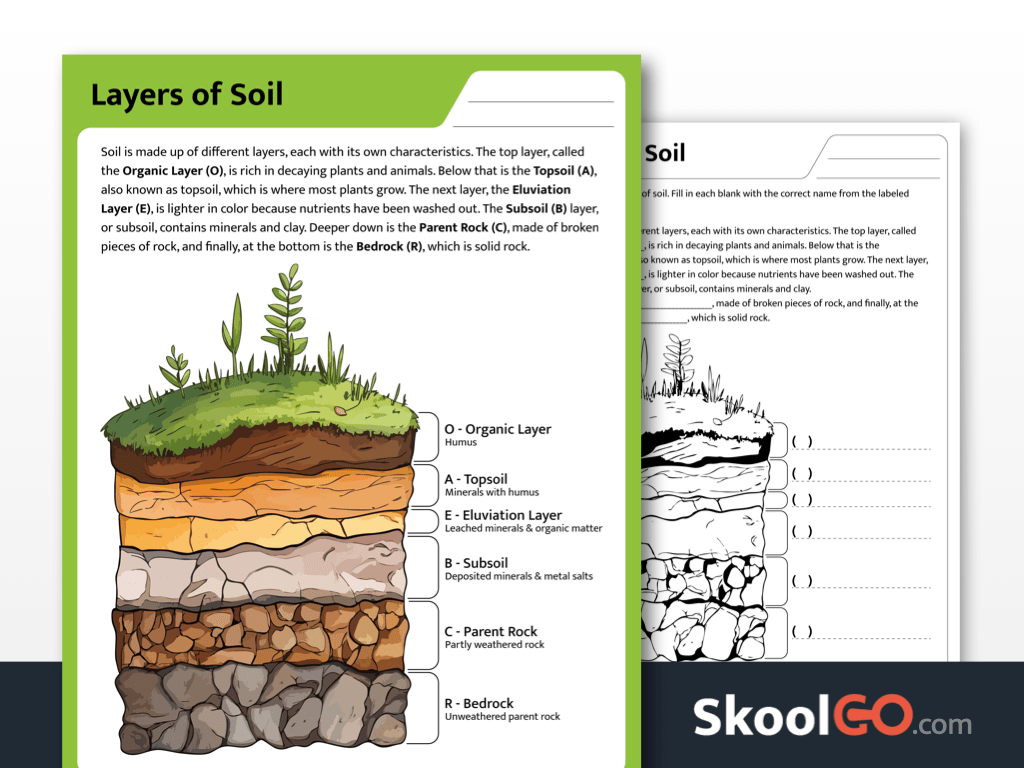 Free Printable Science Worksheets For Kids PK 4 SKOOLGO
