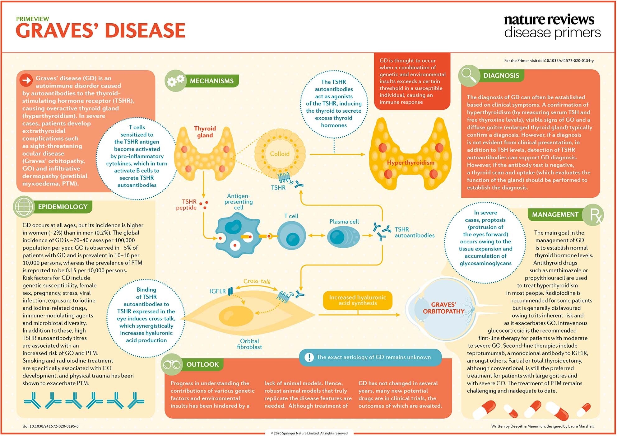 Graves Disease Nature Reviews Disease Primers