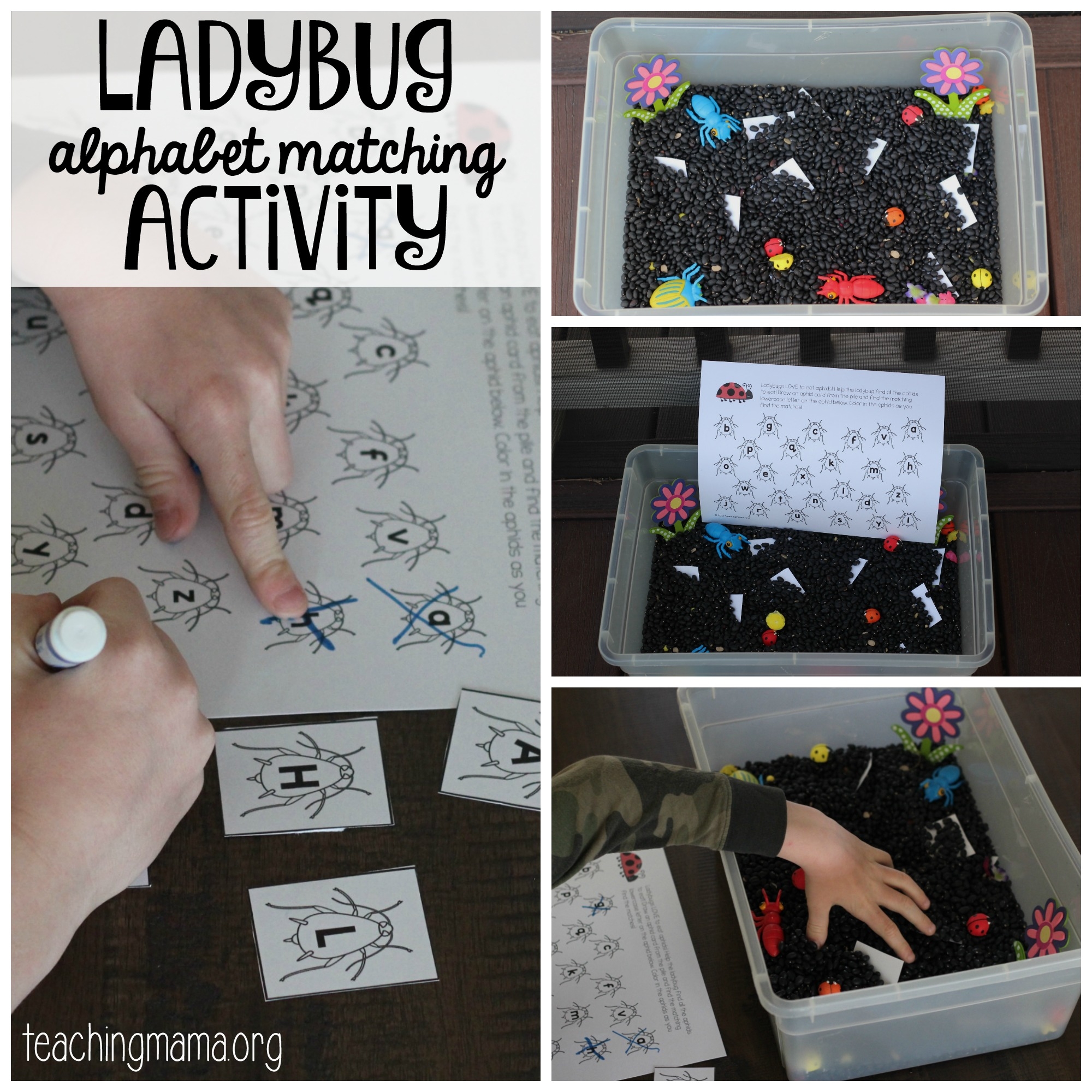 Printable Ladybug Alphabet Matching Game