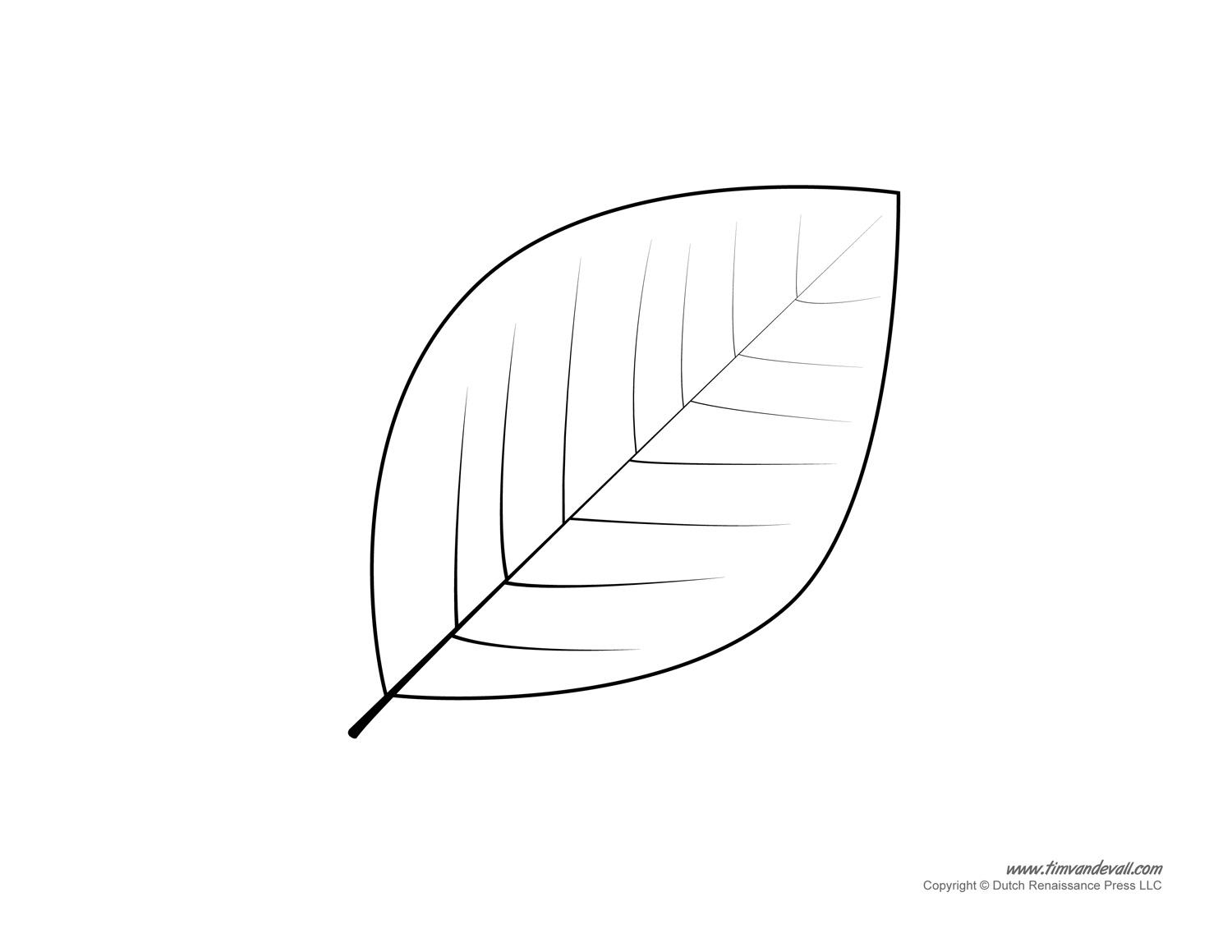 Leaf Templates Leaf Coloring Pages For Kids Leaf Printables