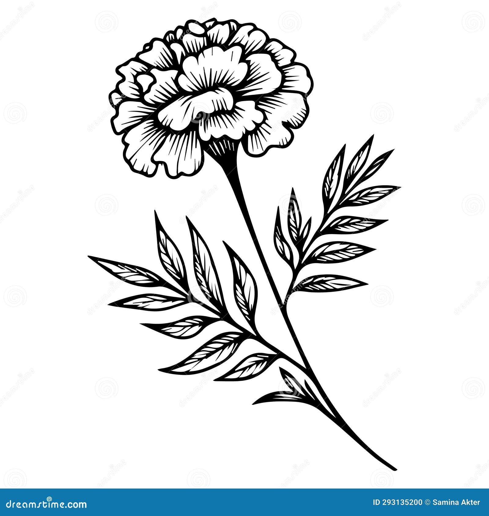 Marigold Tattoo Stock Illustrations 633 Marigold Tattoo Stock Illustrations Vectors Clipart Dreamstime