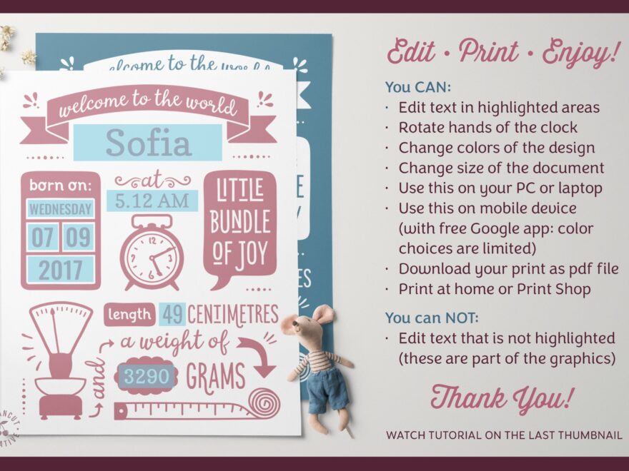 Metric BIRTH STATS Template GOOGLE Edit Baby Printable Pdf
