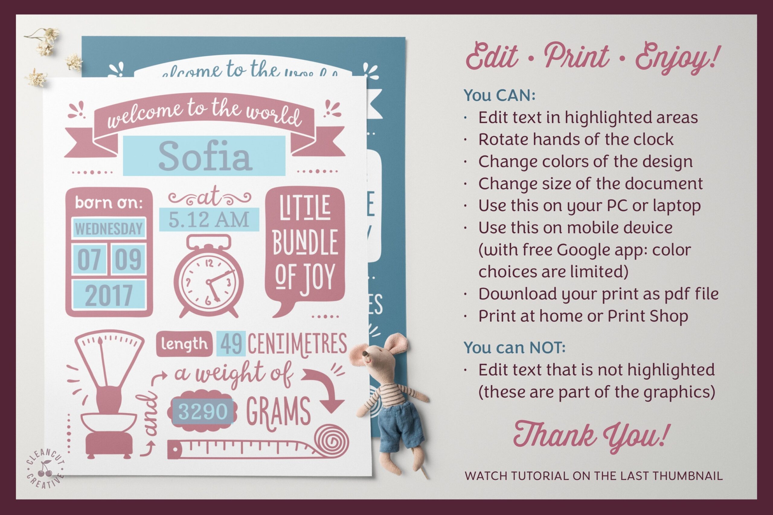 Metric BIRTH STATS Template GOOGLE Edit Baby Printable Pdf