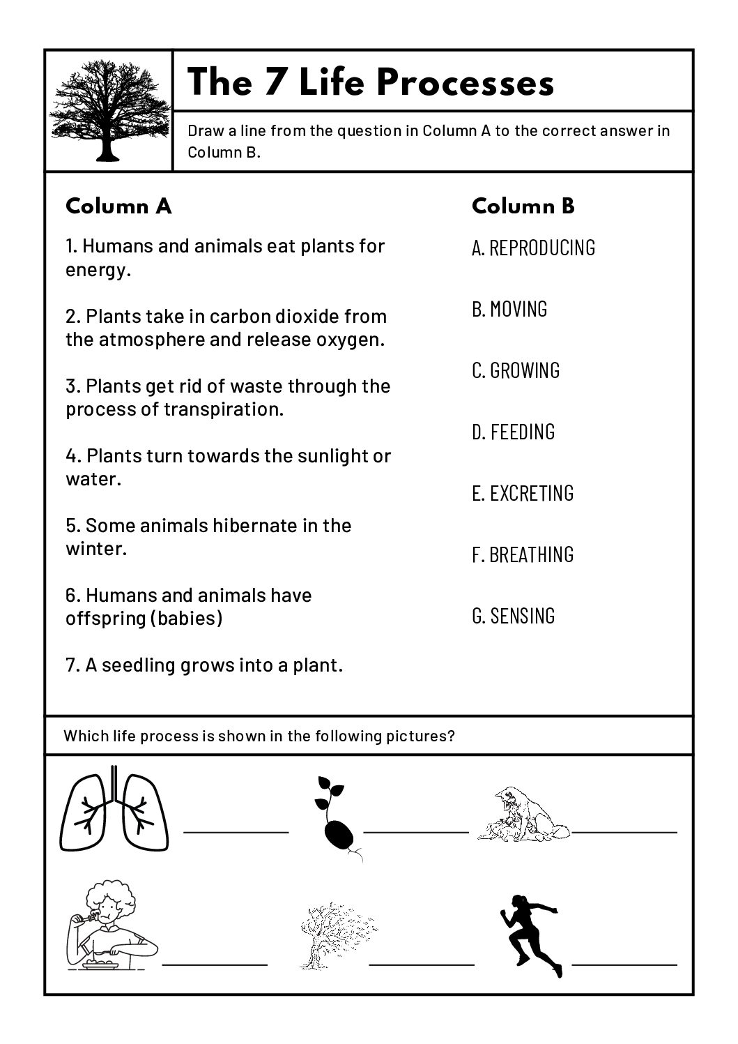 Natural Sciences Technology Grade 4 Worksheets Teacha Worksheets Library