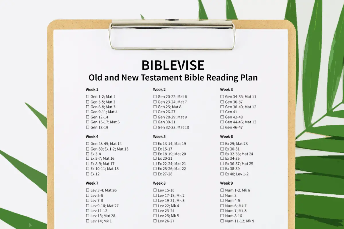 Two Year Bible Reading Plan Printable