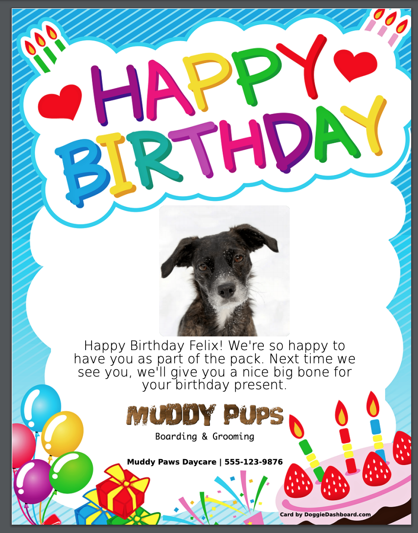 Online Pet Birthday Card Generator Pet Birthday Card Template