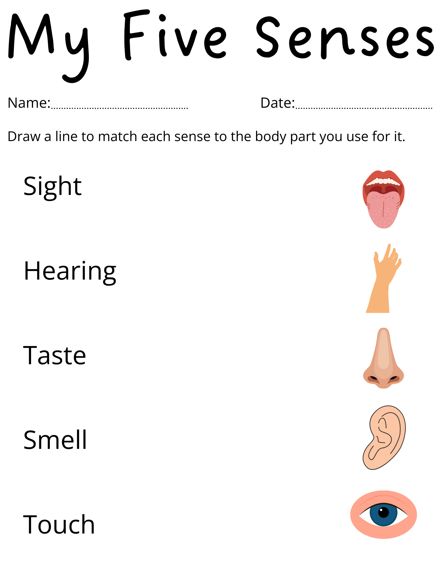 Printable 5 Senses Worksheets For Kindergarten Preschool Five Senses Activity Made By Teachers