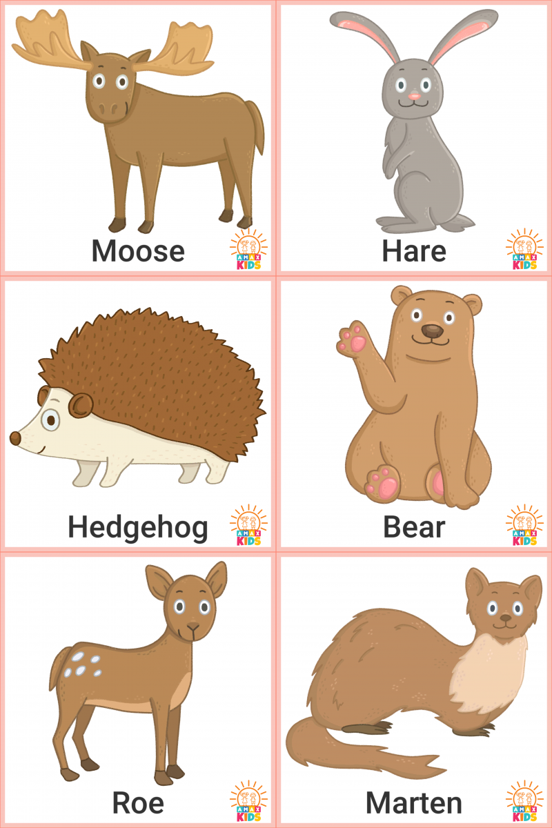 Printable Flashcards For Kids Forest Animals Amax Kids
