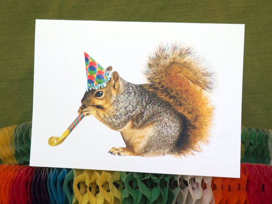 Squirrel With Party Blower Printable Birthday Card Digital Squirrel Card Etsy