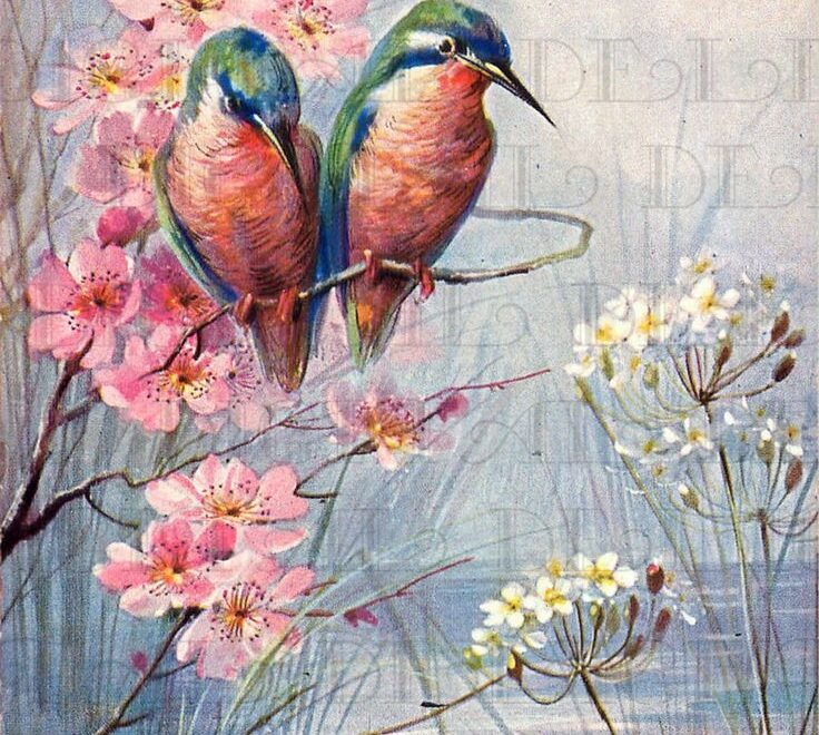 Stunning Humming BIRDS On Spring Dogwood Branch Vintage Bird Illustration Digital Bird DOWNLOAD Printable Bird Image Etsy