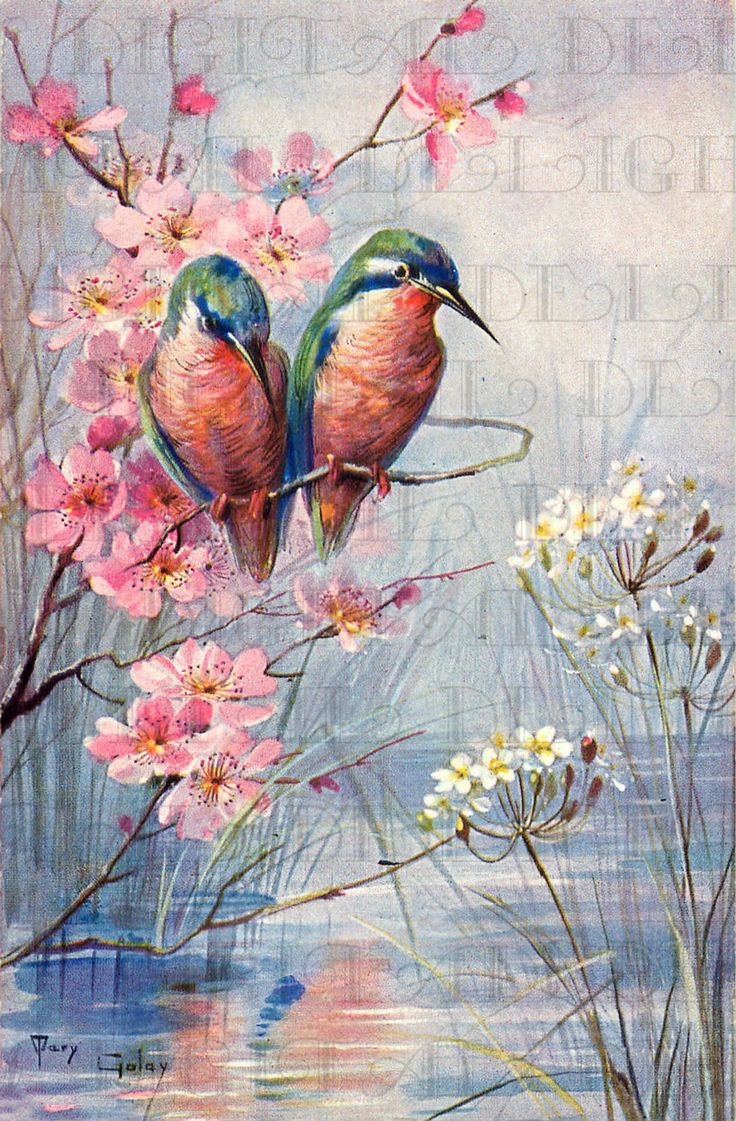 Stunning Humming BIRDS On Spring Dogwood Branch Vintage Bird Illustration Digital Bird DOWNLOAD Printable Bird Image Etsy