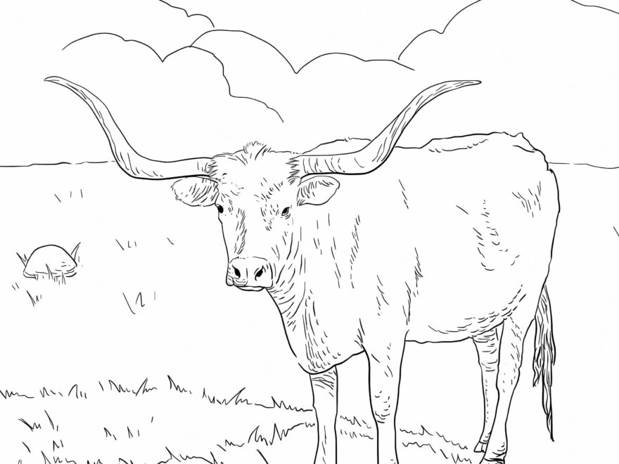 Texas Longhorn Cow Coloring Page