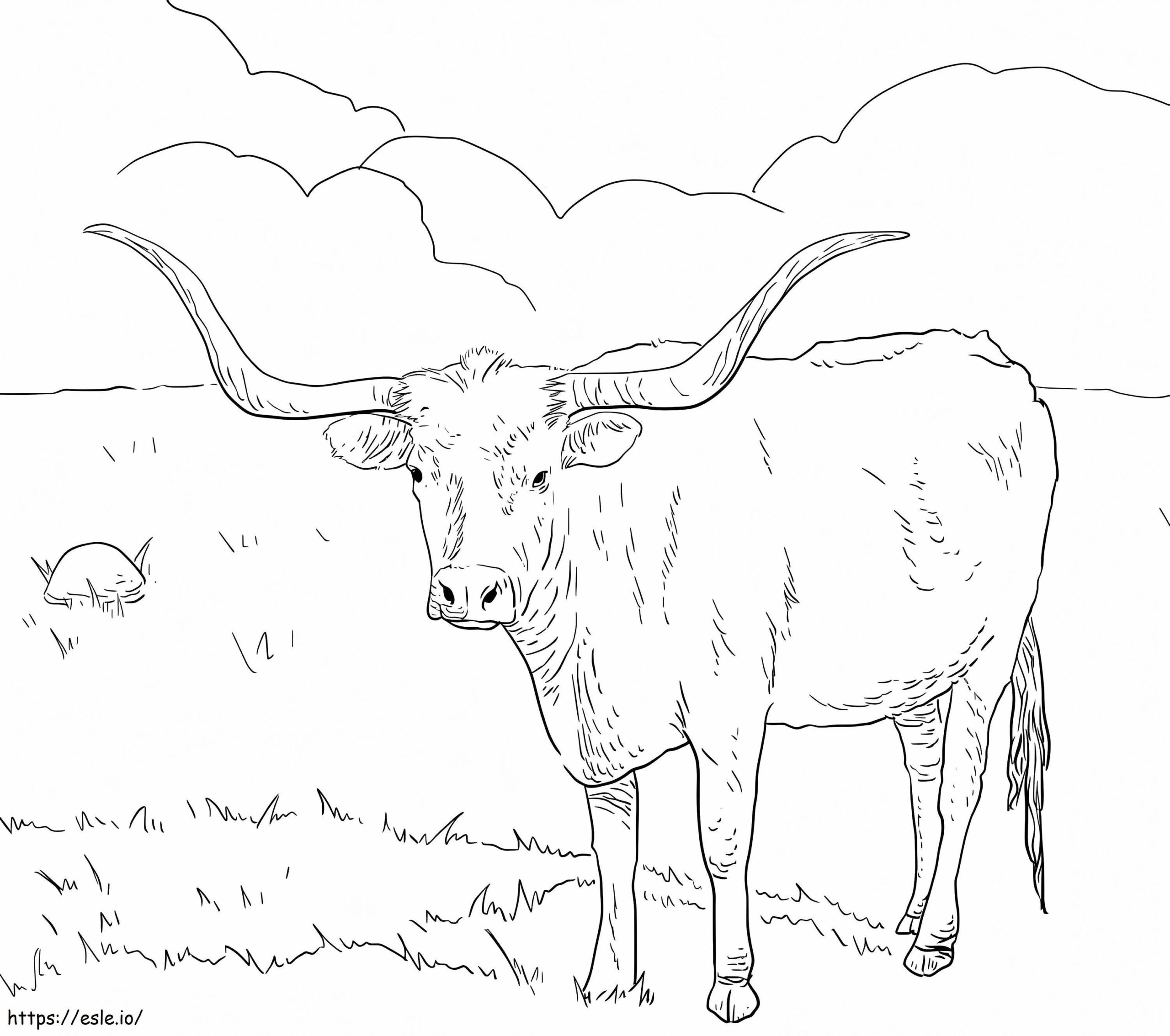 Texas Longhorn Cow Coloring Page