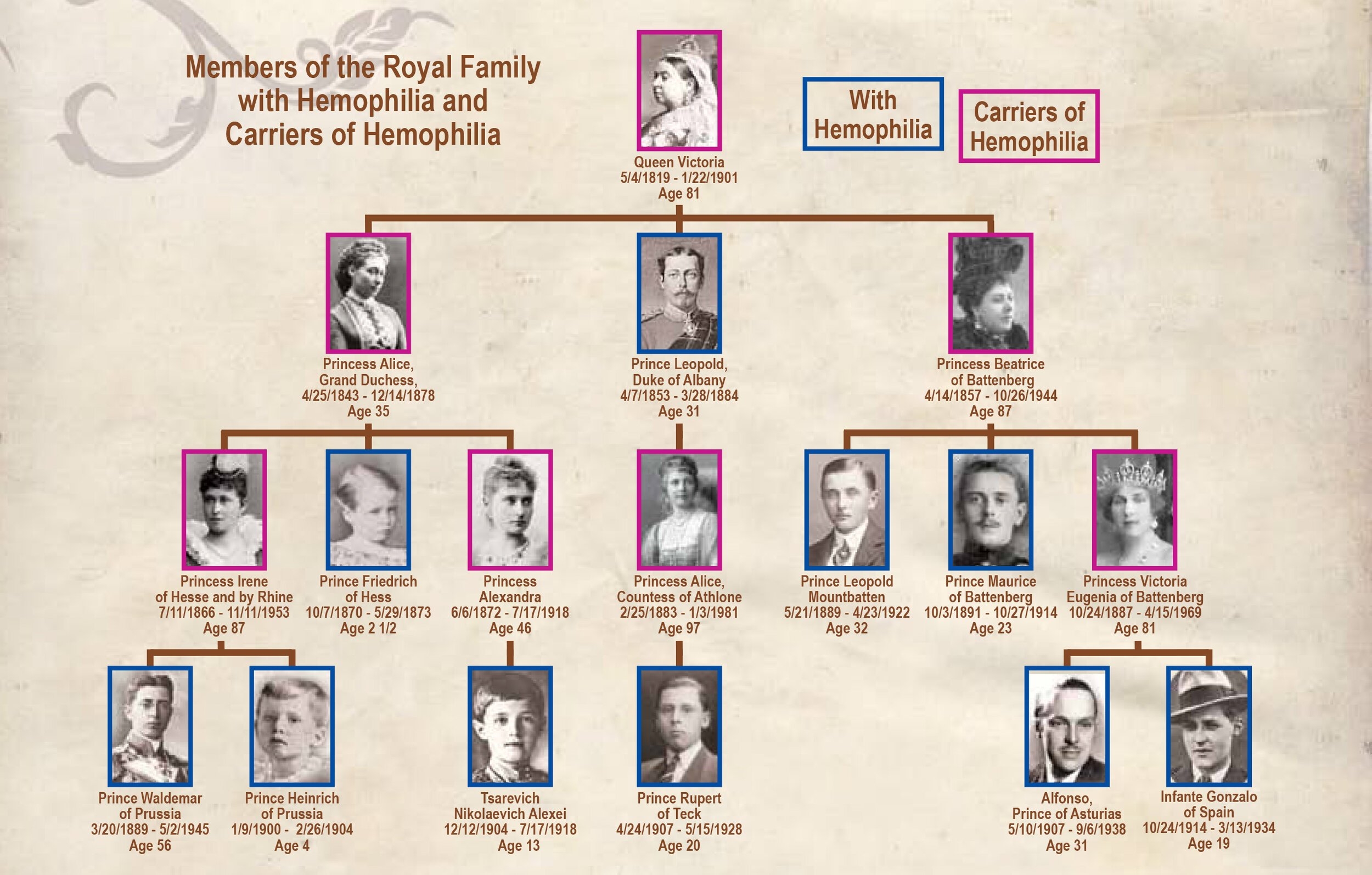 The Royals BioMatrix Specialty Infusion Pharmacy