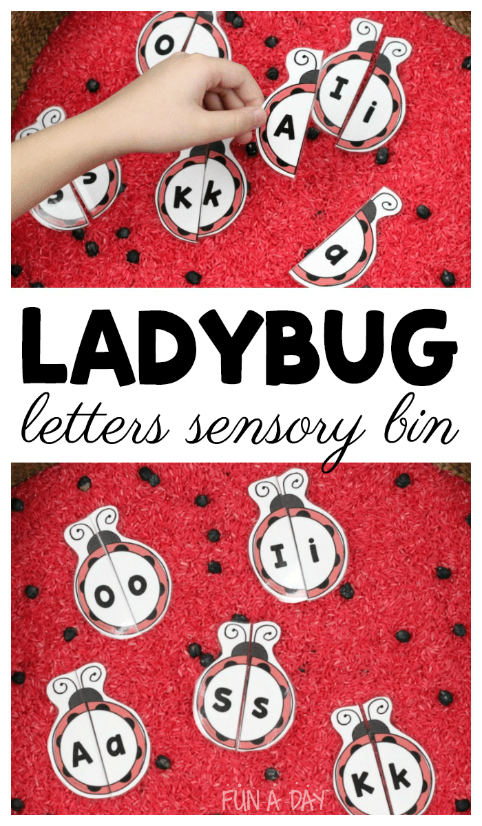 Use These Printable Ladybug Letter Puzzles In A Sensory Bin Fun A Day 